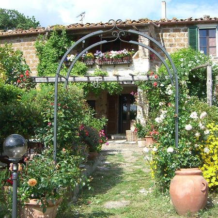 Le Querciolaie Monte Cavallo - Upper Apartment Saturnia Kültér fotó