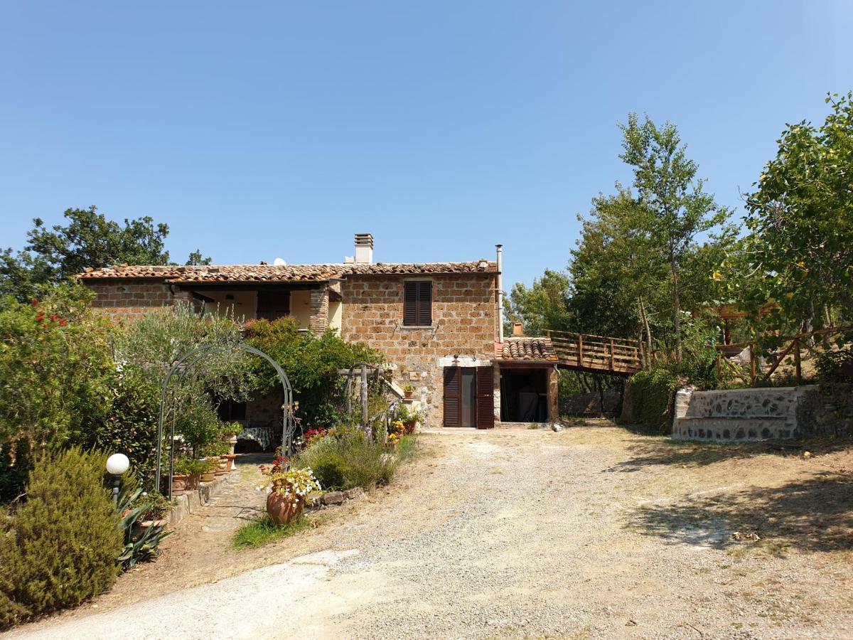 Le Querciolaie Monte Cavallo - Upper Apartment Saturnia Kültér fotó